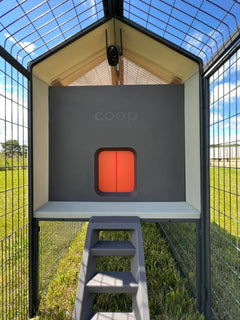 The Smart Coop Unlimited+ (+ Free Chicks! 🐣)