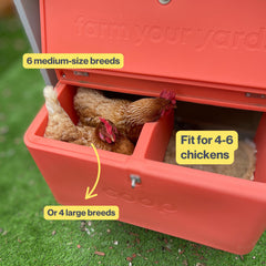 The Smart Coop + Base (+ Free Chicks! 🐣)