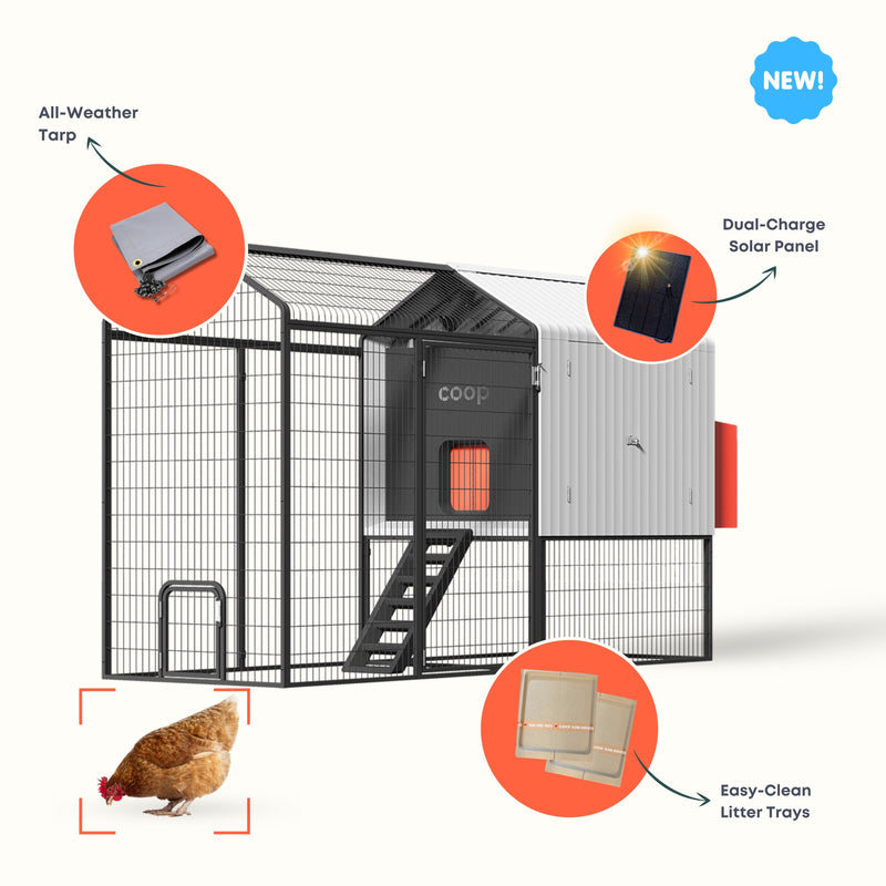 The Smart Coop Unlimited+ (+ Free Chicks! 🐣)