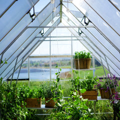 Palram - Canopia | Balance Greenhouse Kit With Clear 0.8mm Polycarbonate Glazing