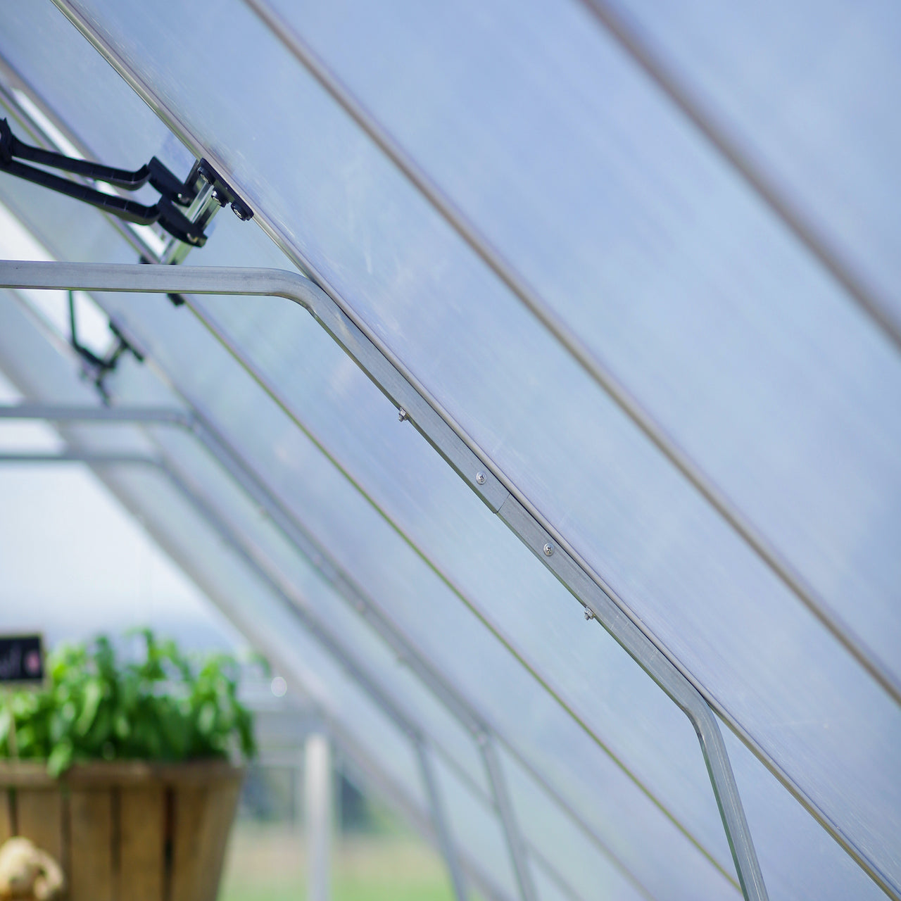 Palram - Canopia | Balance Greenhouse Kit With Clear 0.8mm Polycarbonate Glazing