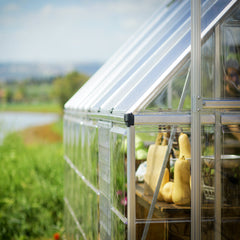 Palram - Canopia | Balance Greenhouse Kit With Clear 0.8mm Polycarbonate Glazing