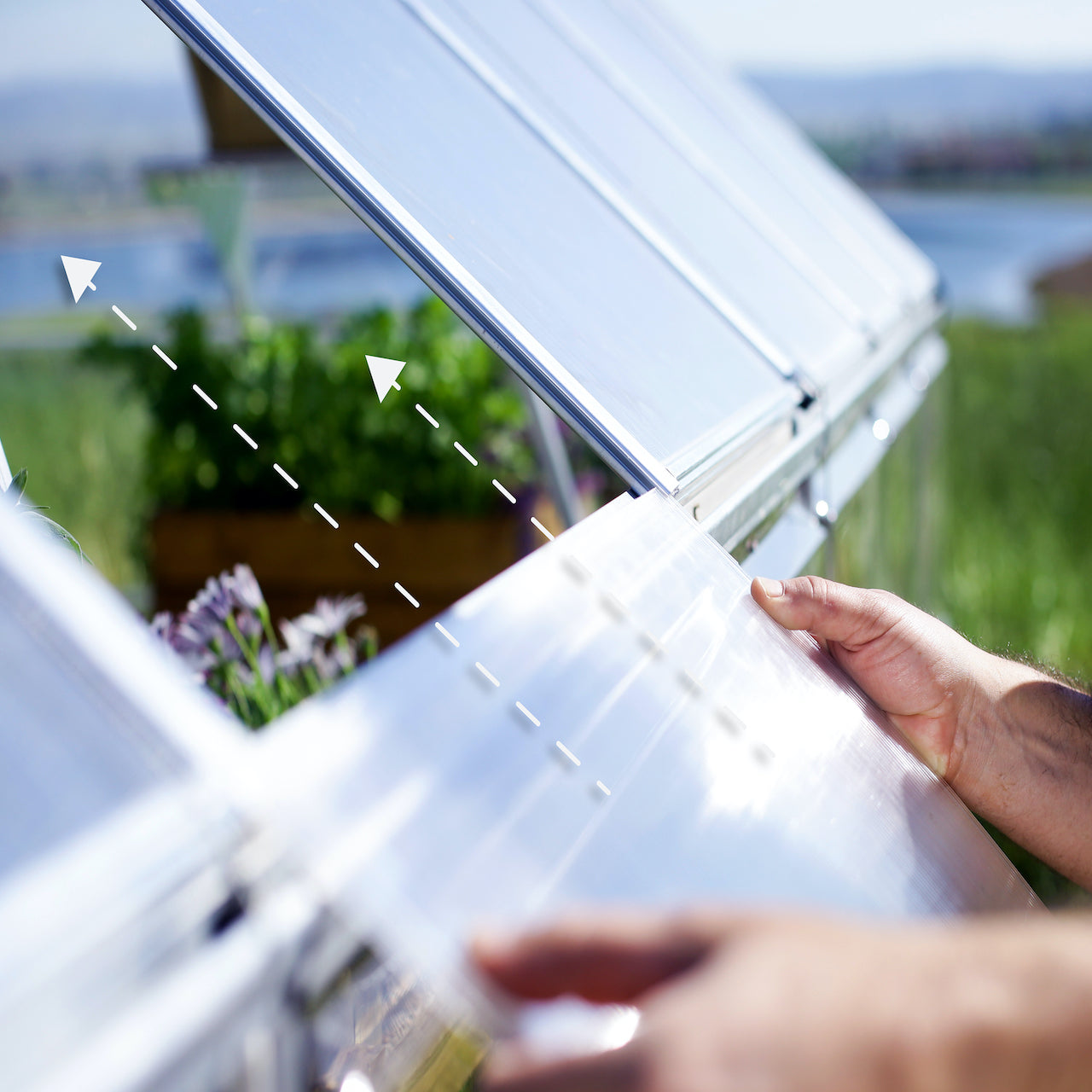 Palram - Canopia | Balance Greenhouse Kit With Clear 0.8mm Polycarbonate Glazing