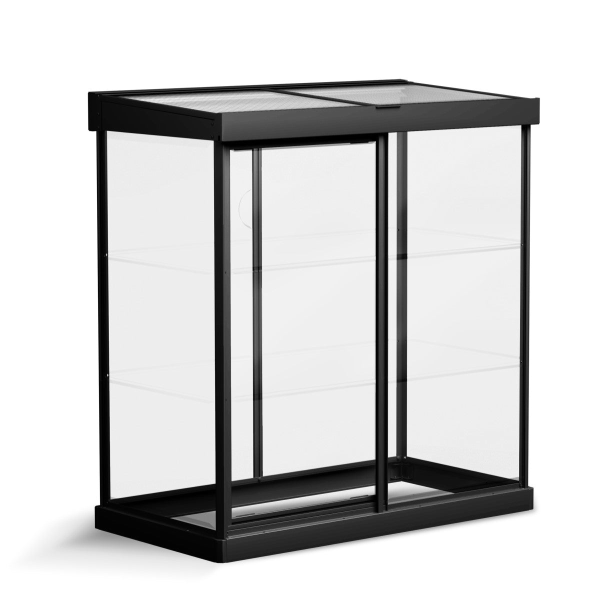 Palram - Canopia | Ivy 4x2 ft. Mini Greenhouse Kit - Black Frame with Clear Polycarbonate Glazing - JUNE PROMOTION