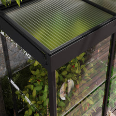 Palram - Canopia | Ivy 4x2 ft. Mini Greenhouse Kit - Black Frame with Clear Polycarbonate Glazing - JUNE PROMOTION