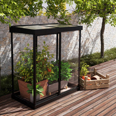 Palram - Canopia | Ivy 4x2 ft. Mini Greenhouse Kit - Black Frame with Clear Polycarbonate Glazing - JUNE PROMOTION