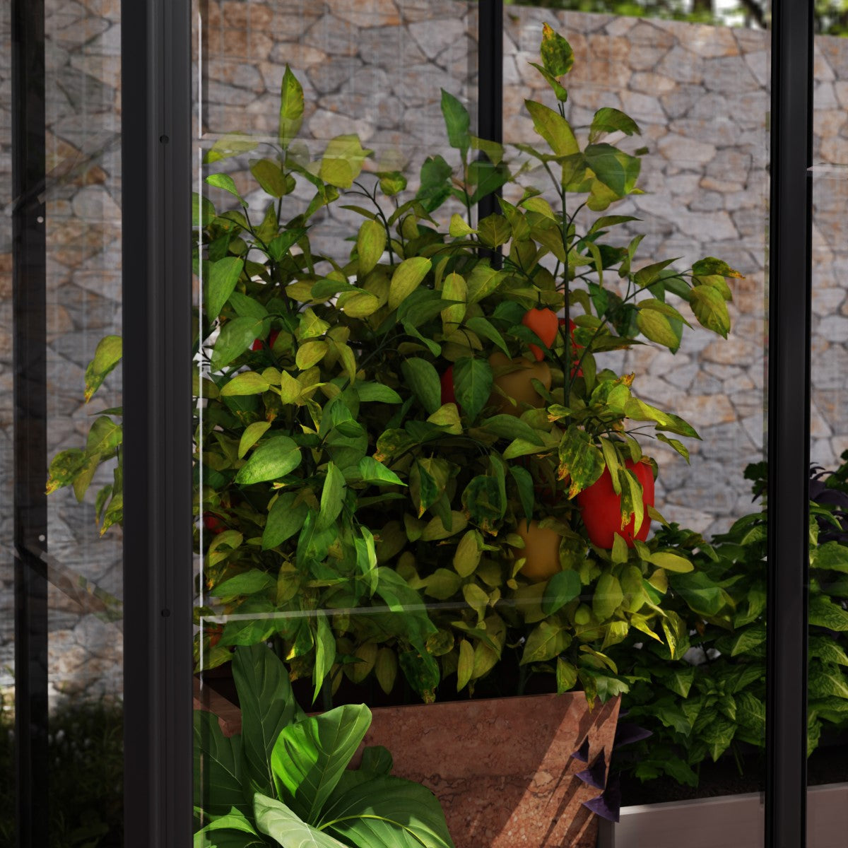Palram - Canopia | Ivy 4x2 ft. Mini Greenhouse Kit - Black Frame with Clear Polycarbonate Glazing - JUNE PROMOTION