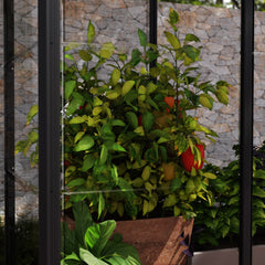 Palram - Canopia | Ivy 4x2 ft. Mini Greenhouse Kit - Black Frame with Clear Polycarbonate Glazing - JUNE PROMOTION