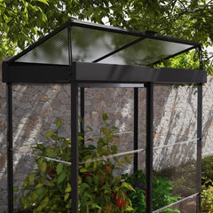 Palram - Canopia | Ivy 4x2 ft. Mini Greenhouse Kit - Black Frame with Clear Polycarbonate Glazing - JUNE PROMOTION