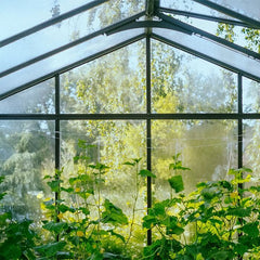 Bloom Cabin Orangerie  22'5" x 49'4" (753 sq ft)
