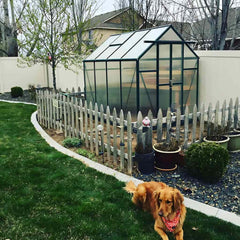 Grandio Greenhouse Element 6x8
