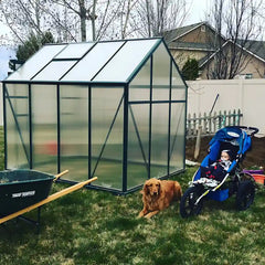 Grandio Greenhouse Element 6x8