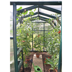 Palram - Canopia | EcoGrow Greenhouse Kit - 6 Ft Wide - Green With 6mm Twin-wall Polycarbonate Glazing