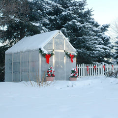 Palram - Canopia | Snap & Grow Greenhouse Kit - 6ft Wide - Silver With 0.8mm Polycarbonate Glazing