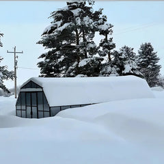 Grandio Greenhouse Summit 12x24