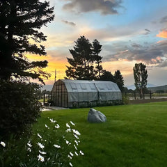 Grandio Greenhouse Summit 12x24